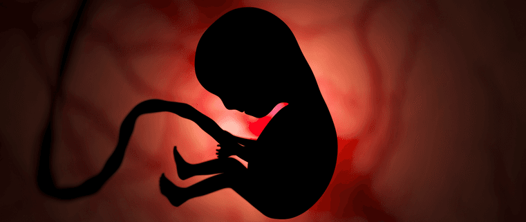 Aborto: El padre, sin legitimación activa